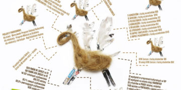 Głosuj na Akademię Dotknij sztuki i Bajkową Sztukę Dziecka w konkursie Słoneczniki 2014