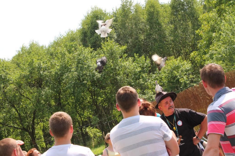 Weekendowe pokazy – Farma Iluzji