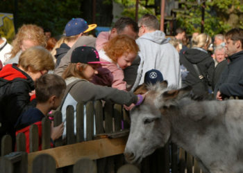 Dzień św. Franciszka i Lasu Bielańskiego