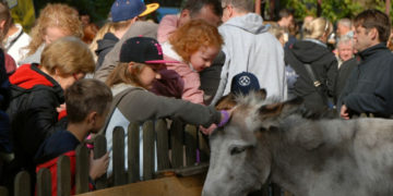 Dzień św. Franciszka i Lasu Bielańskiego