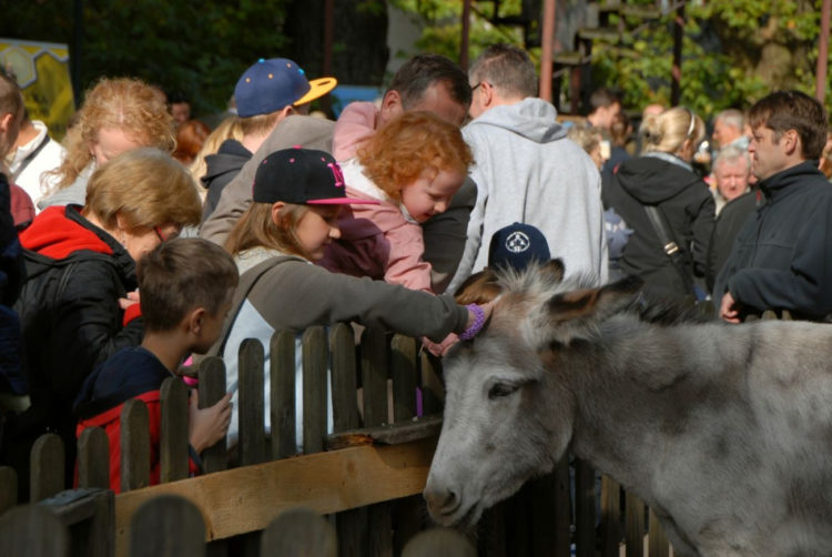 Dzień św. Franciszka i Lasu Bielańskiego