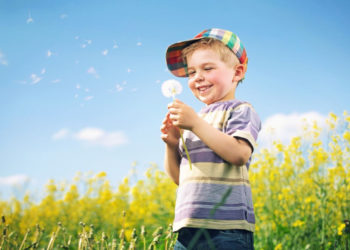 DNI ALERGII I NIETOLERANCJI POKARMOWEJ