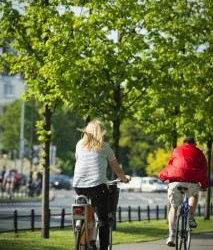 Rekordowy sezon rowerów miejskich