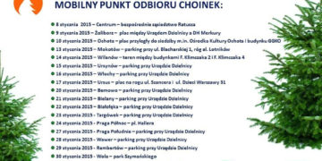 Rozpoczęła się warszawska zbiórka choinek