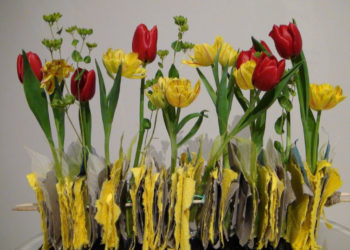 Warsztaty przyrodnicze dla dzieci w Wilanowie