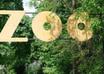 Powitanie wiosny, czyli Dzień Żaby w warszawskim zoo