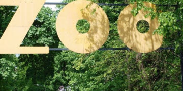 Powitanie wiosny, czyli Dzień Żaby w warszawskim zoo