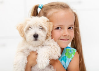 Zwierzę odpowiednie dla alergika – jak je wybrać?