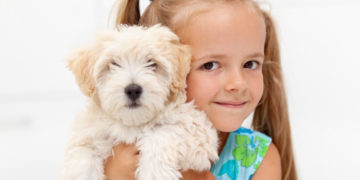 Zwierzę odpowiednie dla alergika – jak je wybrać?