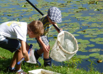 WILANOWSKI KLUB PRZYRODNICZY – spotkania dla rodzin z dziećmi