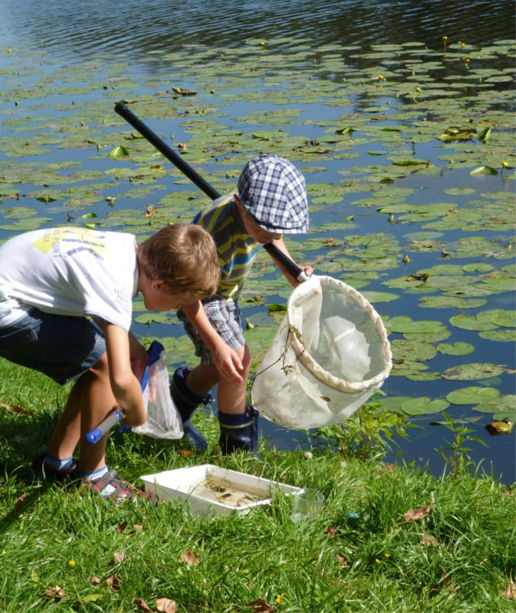 WILANOWSKI KLUB PRZYRODNICZY – spotkania dla rodzin z dziećmi