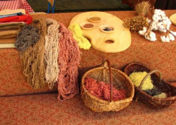 ZIOŁA Z KRÓLEWSKIEJ APTEKI wycieczka przyrodnicza