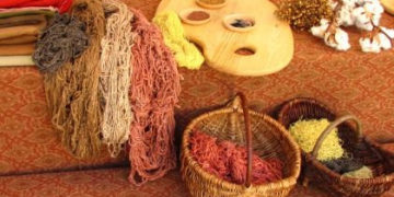 ZIOŁA Z KRÓLEWSKIEJ APTEKI wycieczka przyrodnicza