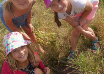 Kolonie w Górach Świętokrzyskich – góry i jezioro w jednym