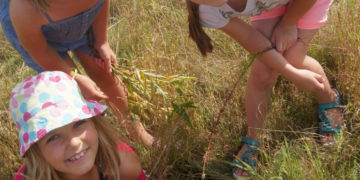 Kolonie w Górach Świętokrzyskich – góry i jezioro w jednym