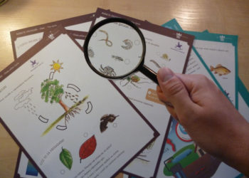 ŻYCIE W ŚCIÓŁCE – warsztaty dla rodzin z dziećmi