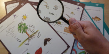 ŻYCIE W ŚCIÓŁCE – warsztaty dla rodzin z dziećmi