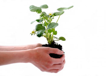 Weź udział w kampanii Ekoodpowiedzialni i dbaj o środowisko!