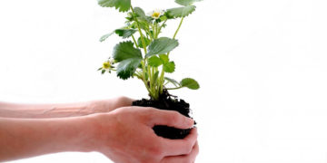 Weź udział w kampanii Ekoodpowiedzialni i dbaj o środowisko!