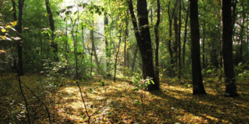 TAJEMNICE REZERWATU MORYSIN wycieczka przyrodnicza