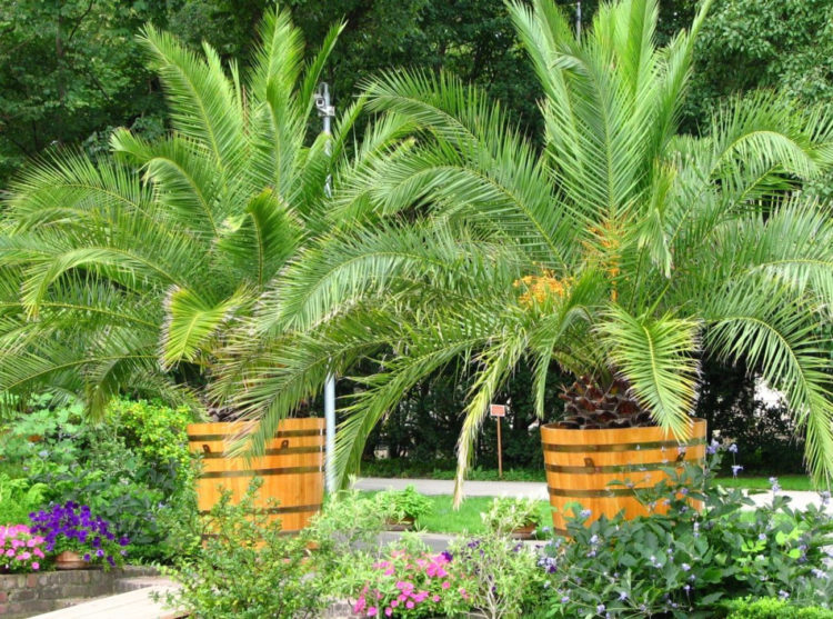 EGZOTYCZNI MIESZKAŃCY PAŁACU I OGRODÓW warsztaty przyrodnicze dla dzieci