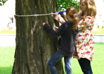 BOTANICZNE CIEKAWOSTKI WILANOWSKICH OGRODÓW warsztaty dla rodzin z dziećmi