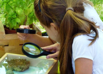 POD PARASOLKAMI warsztaty przyrodniczo-plastyczne dla dzieci w wieku przedszkolnym i młodszych