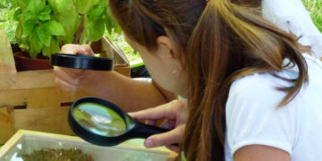 POD PARASOLKAMI warsztaty przyrodniczo-plastyczne dla dzieci w wieku przedszkolnym i młodszych