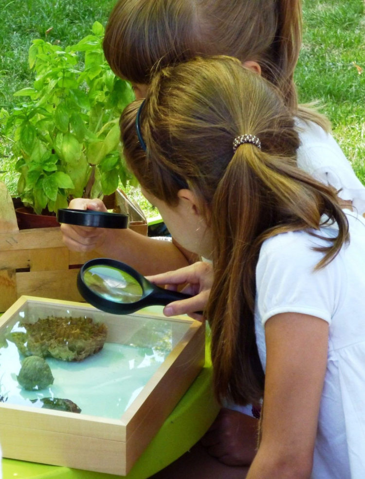 POD PARASOLKAMI warsztaty przyrodniczo-plastyczne dla dzieci w wieku przedszkolnym i młodszych