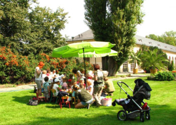 POD PARASOLKAMI warsztaty przyrodniczo-plastyczne dla dzieci w wieku szkolnym