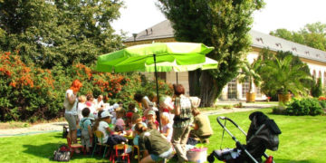 POD PARASOLKAMI warsztaty przyrodniczo-plastyczne dla dzieci w wieku szkolnym