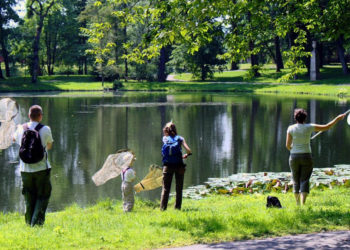 MONITORING PRZYRODNICZY W OGRODACH WILANOWSKICH warsztaty dla rodzin z dziećmi