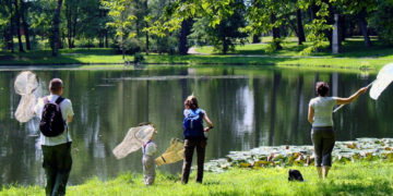 MONITORING PRZYRODNICZY W OGRODACH WILANOWSKICH warsztaty dla rodzin z dziećmi