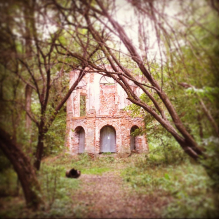 ROMANTYCZNY MORYSIN wyprawa w poszukiwaniu historycznych skarbów rezerwatu przyrody