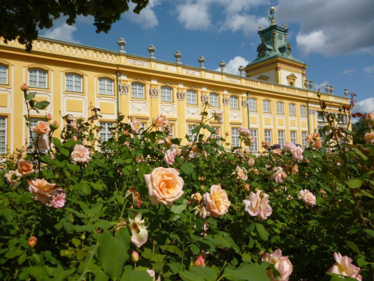 MODA OGRODOWA wycieczka przyrodnicza