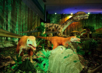 Konkurs! Zobacz „Dinozaury na żywo”!