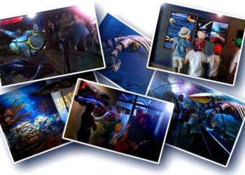 Wystawa prehistoria „Morskie kreatury”