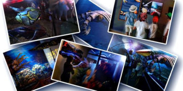 Wystawa prehistoria „Morskie kreatury”