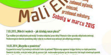 Mali Einsteini: Chromatografia – dlaczego liście zmieniają kolor jesienią?