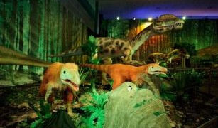 Wystawa„Dinozaury na żywo” już otwarta!