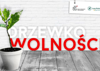 Drzewko wolności