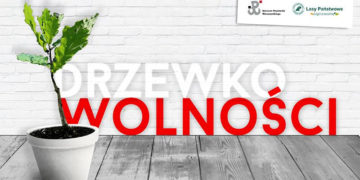 Drzewko wolności