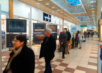 Poznaj piękno Kampinosu – wystawa fotograficzna