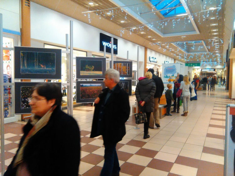 Poznaj piękno Kampinosu – wystawa fotograficzna