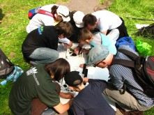 Tropy i ślady zwierząt – Badacze Przyrody