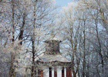 PIES, ŁABĘDŹ, NIEDŹWIEDŹ – O SYMBOLICE OGRODOWYCH RZEŹB wycieczka przyrodnicza