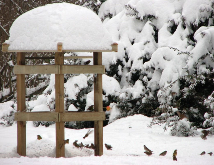 PUNKT OBSERWACYJNY i WYCIECZKI ORNITOLOGICZNE