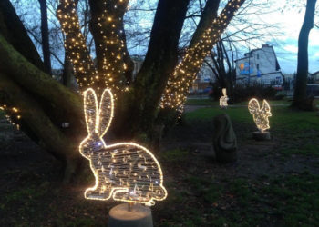 Lodowisko, świąteczne iluminacje i wiele innych atrakcji w Wola Parku