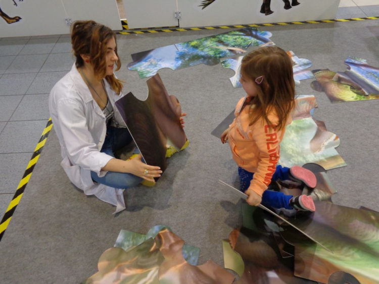 Wspólne ubieranie choinki i 20% zniżki na bilet na wystawę „Dinozaury na żywo”!