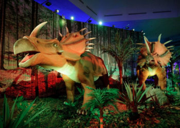 Przeżyj prehistoryczną przygodę z dinozaurami rzeczywistych rozmiarów!